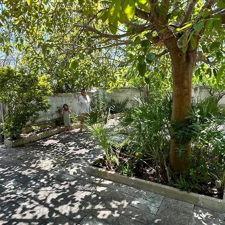 Dune - Baia - Holiday home *